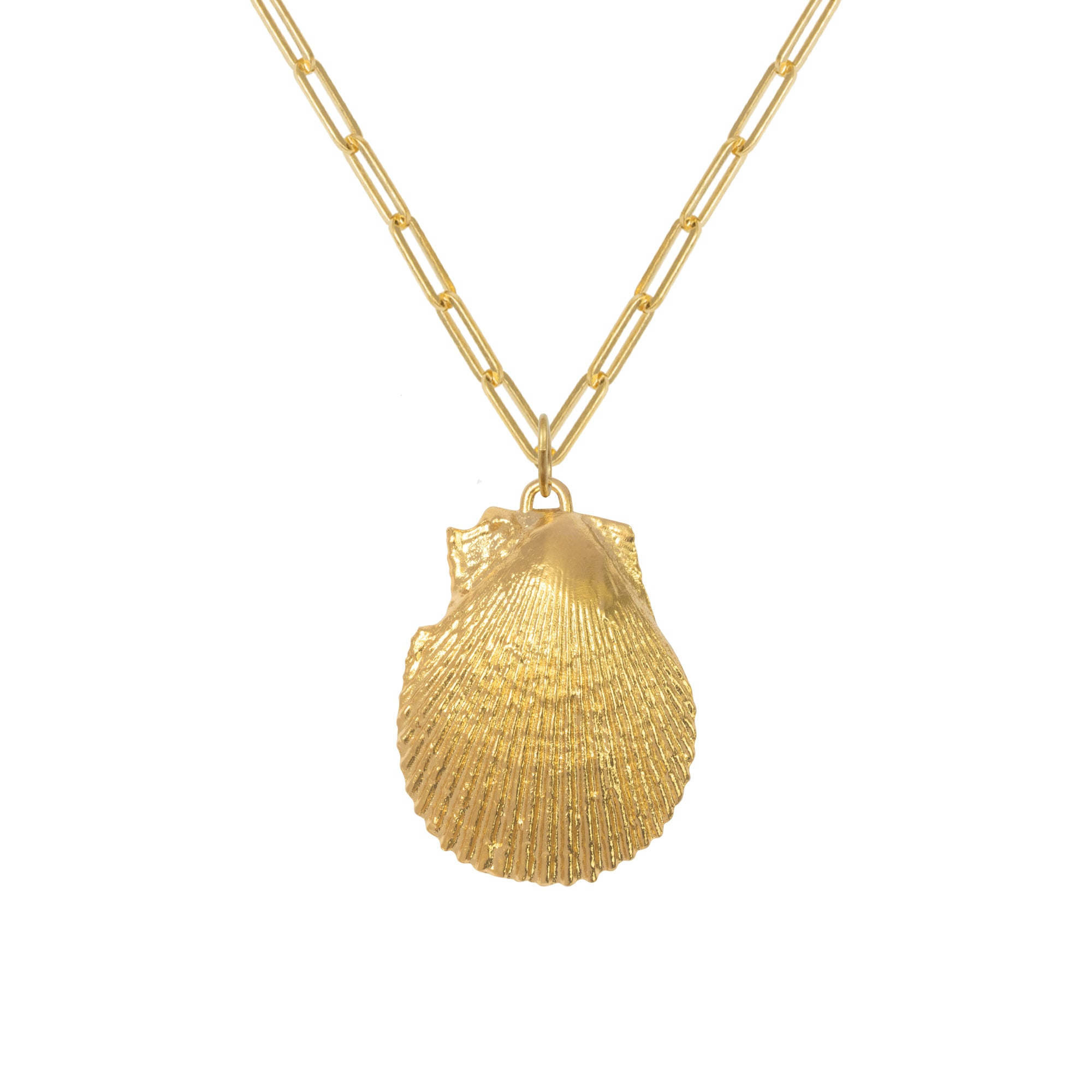 Selkie Shell Pendant On Lana Box Chain