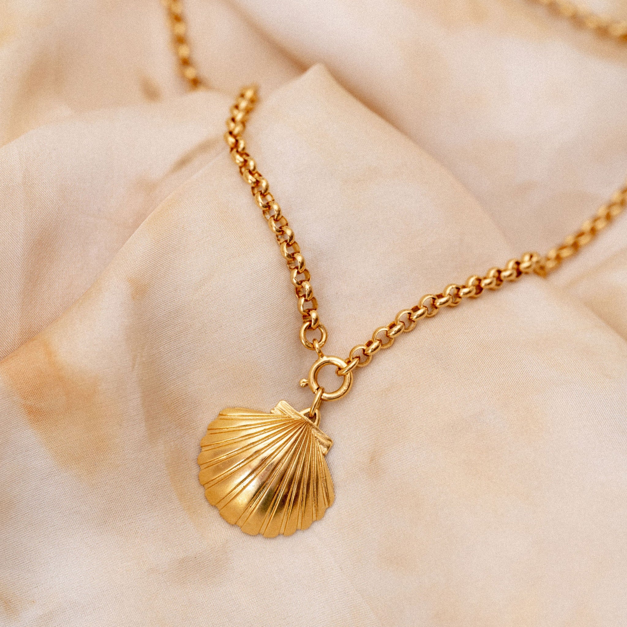 Ulla Shell Pendant On Royal Belcher Chain