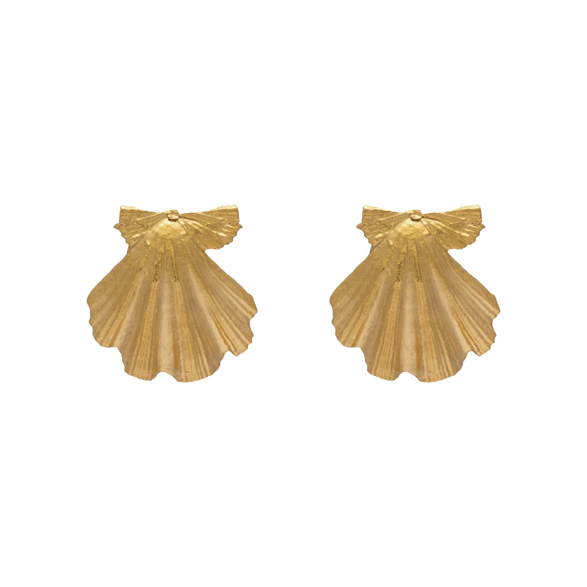 Beachcomber Shell Stud Earrings