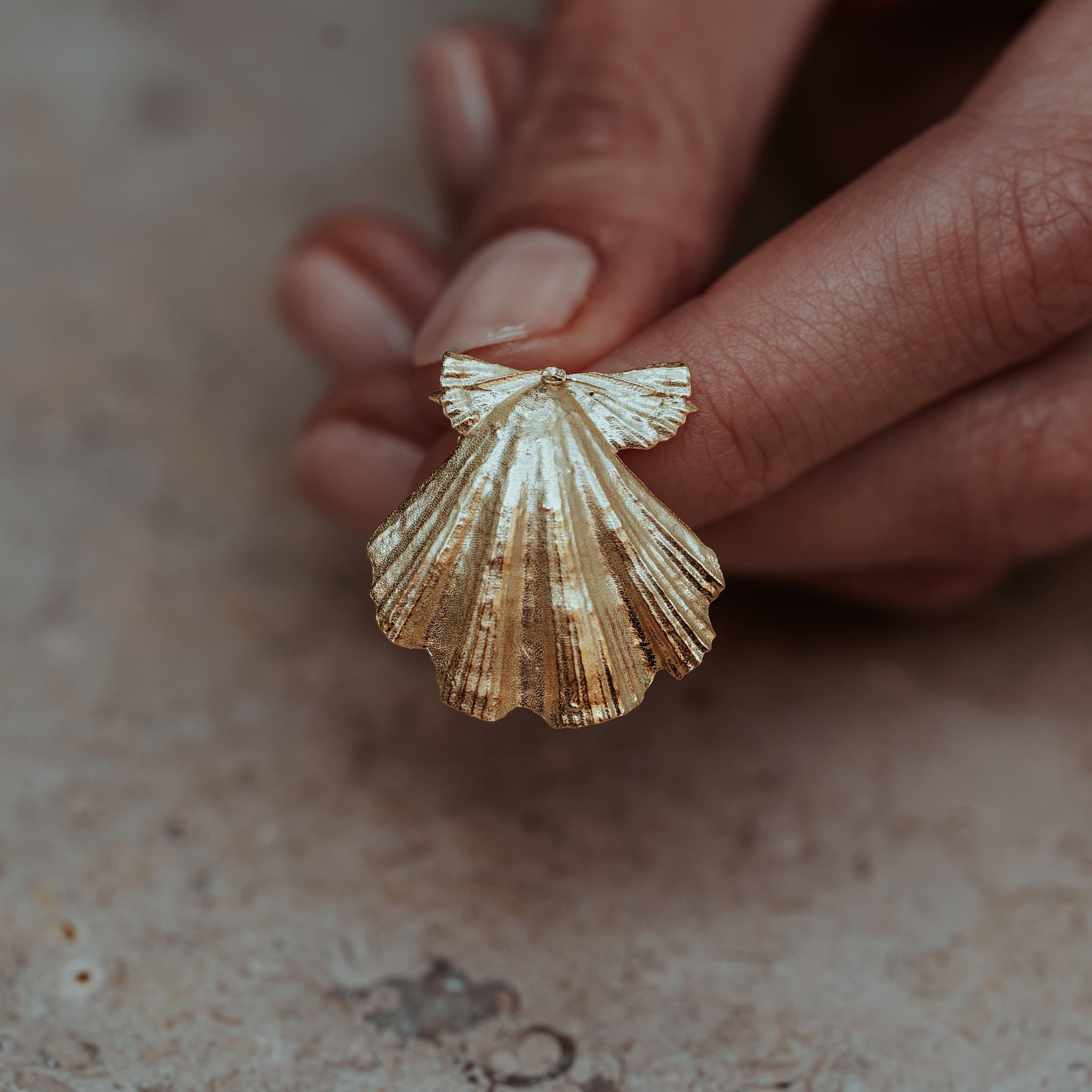 Beachcomber Shell Stud Earrings