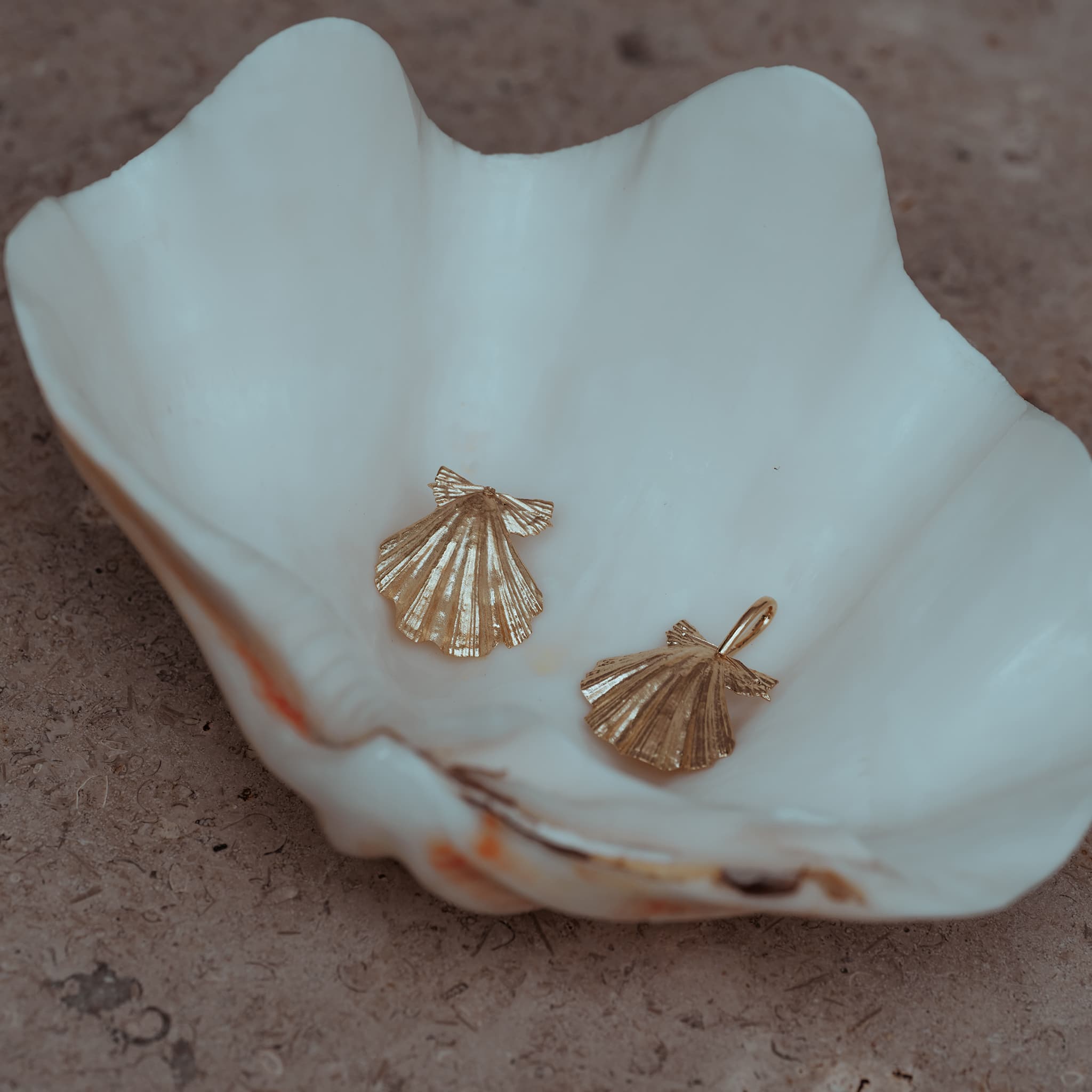 Beachcomber Shell Necklace
