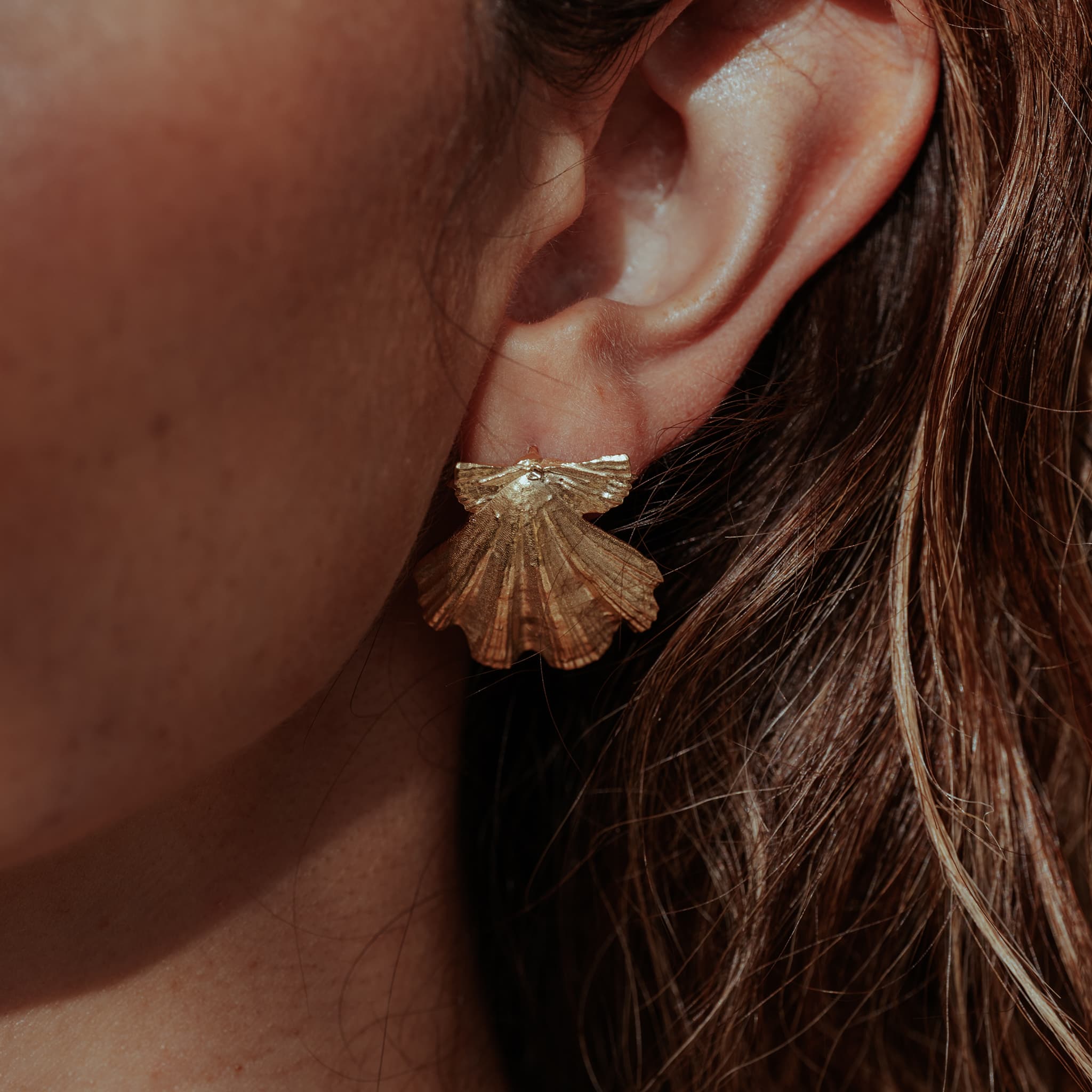 Beachcomber Shell Stud Earrings