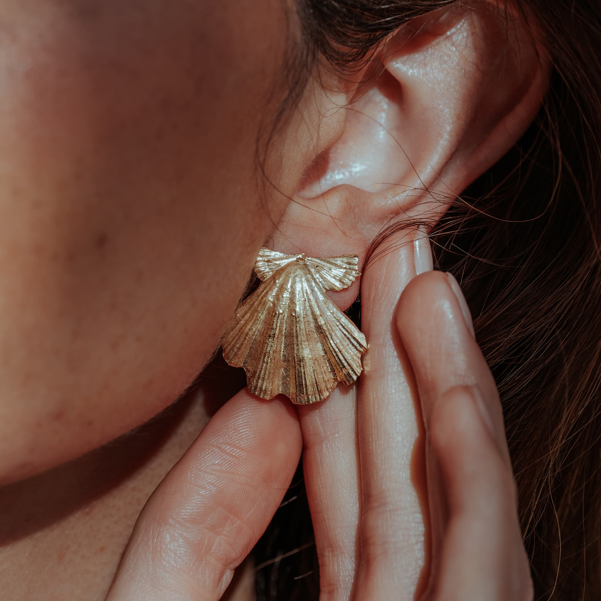 Beachcomber Shell Stud Earrings