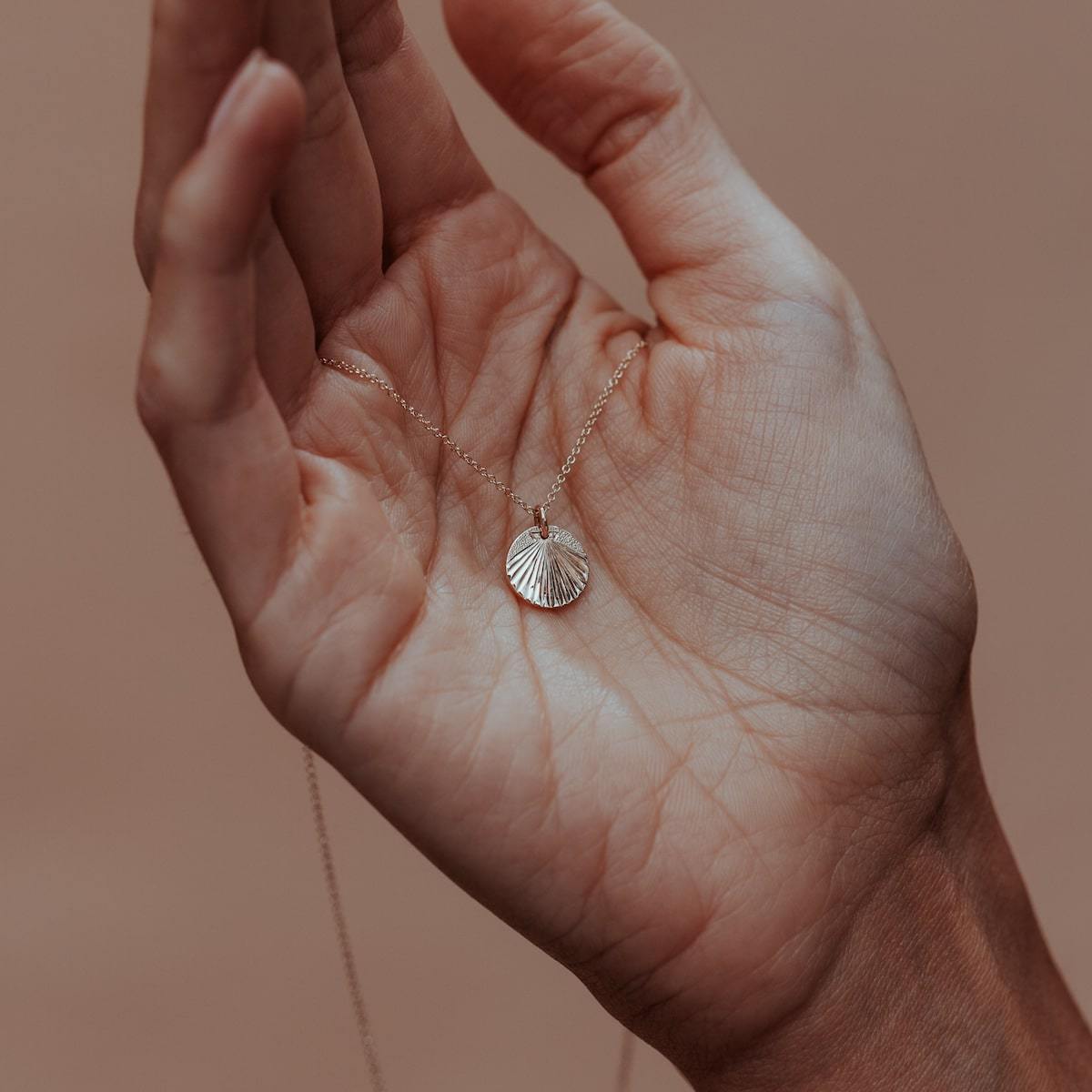TINY-TELLIN-SHELL-PENDANT-CABINET-JEWELLERY