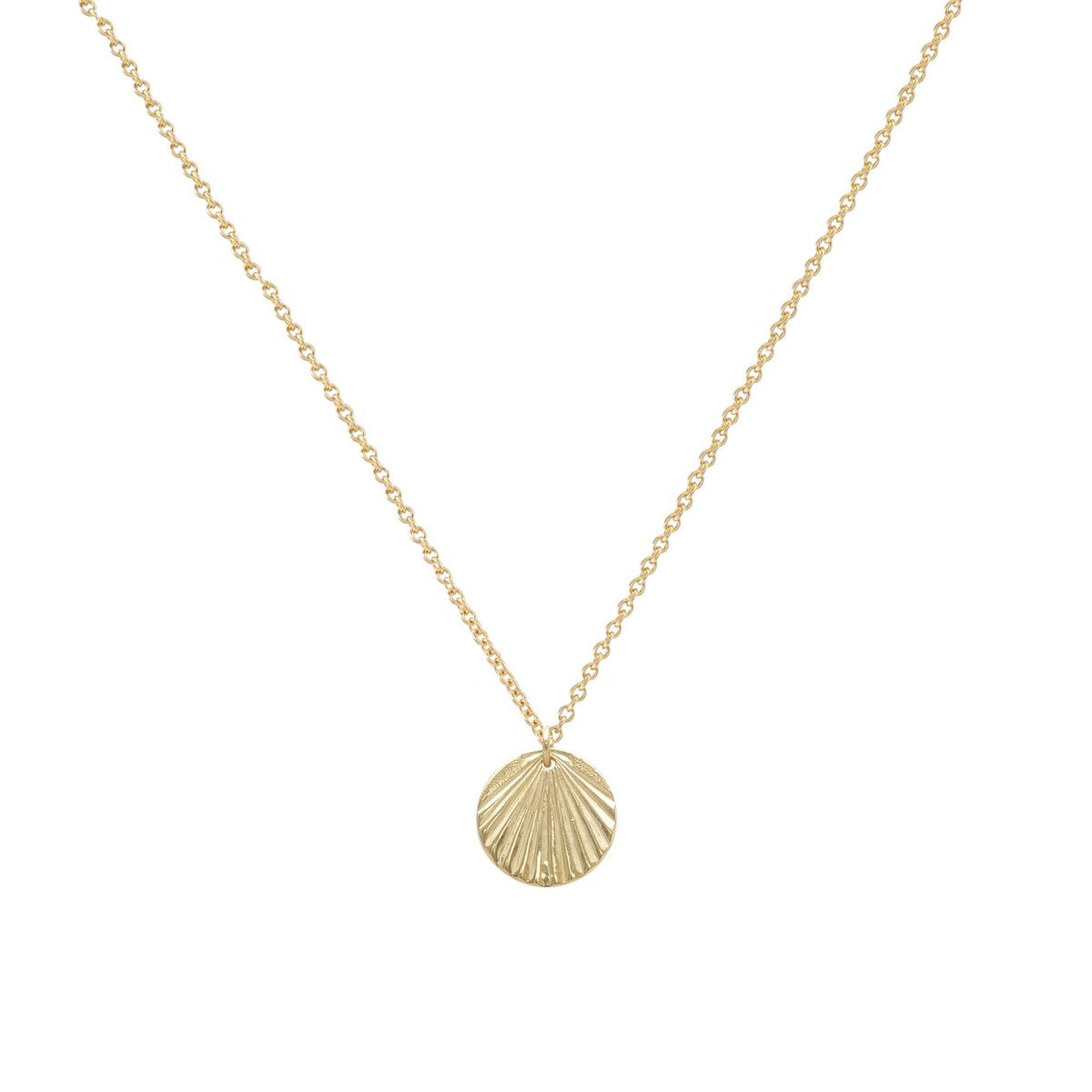 TINY-TELLIN-SHELL-PENDANT-CABINET-JEWELLERY
