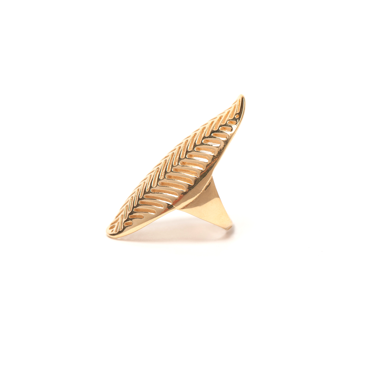Treaty Ring