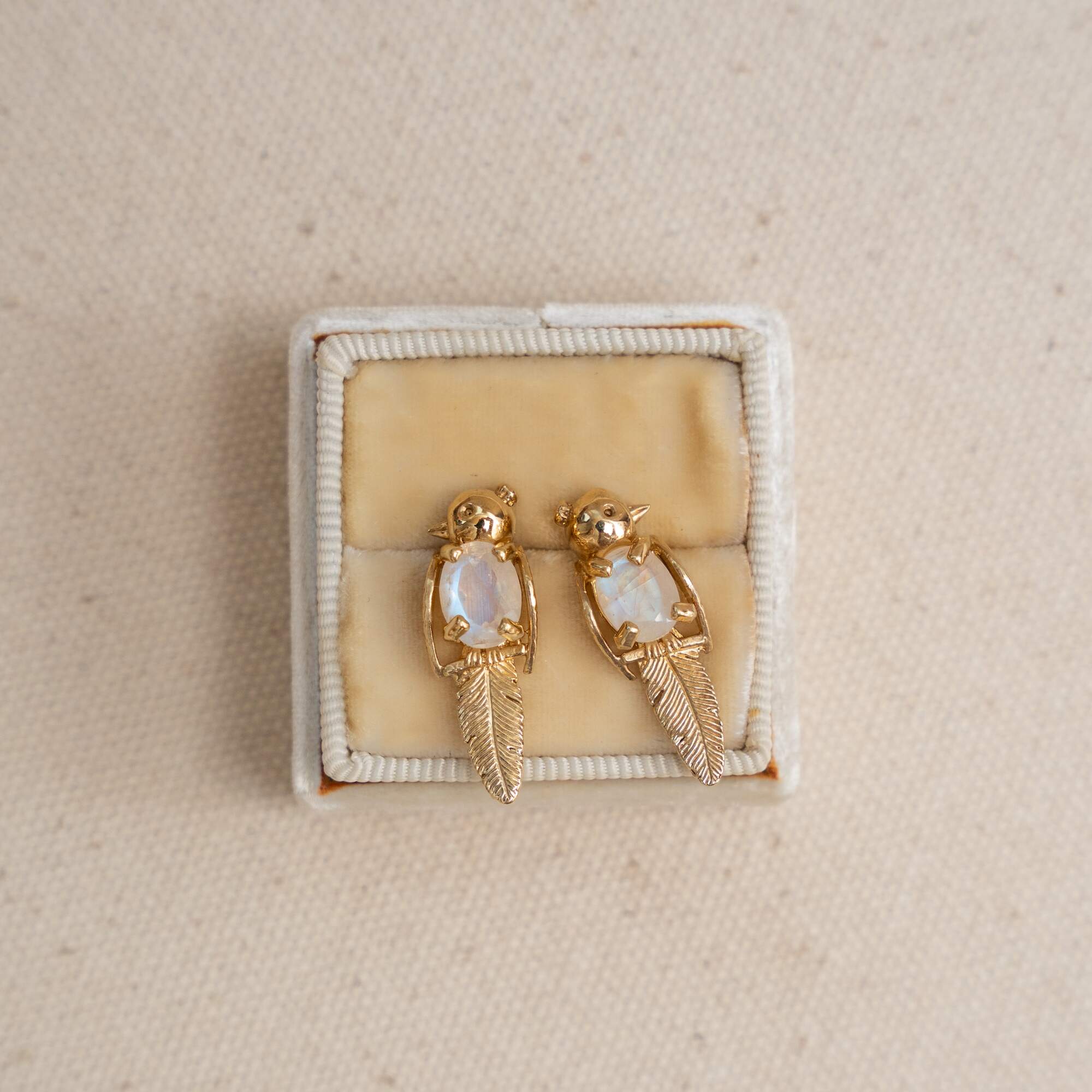 Moonstone Love Bird Studs