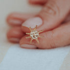 Sunchaser Studs