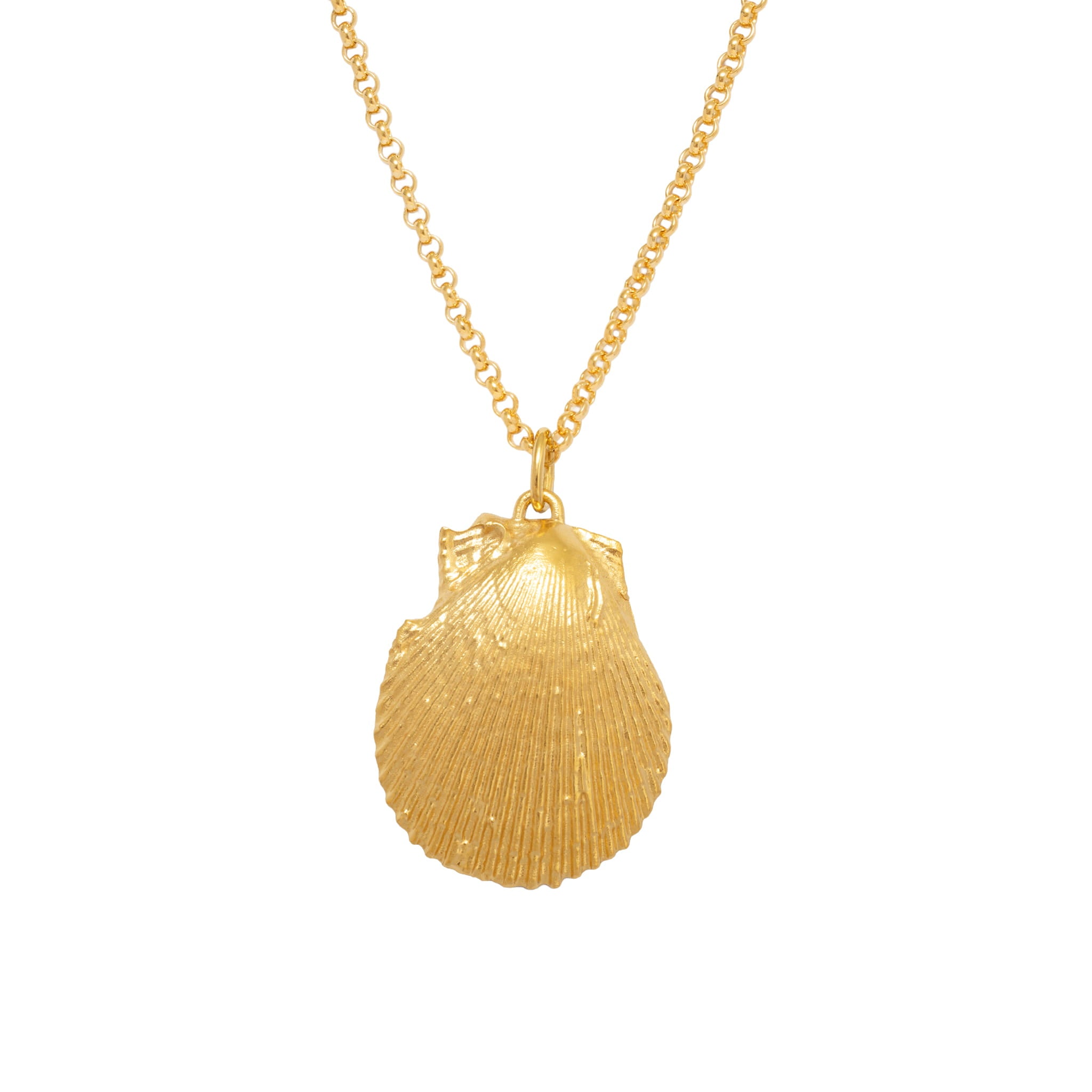 Selkie Shell Pendant