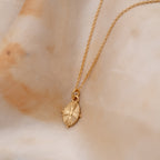 Sunrise Shell Pendant