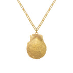 Selkie Shell Pendant On Lana Box Chain