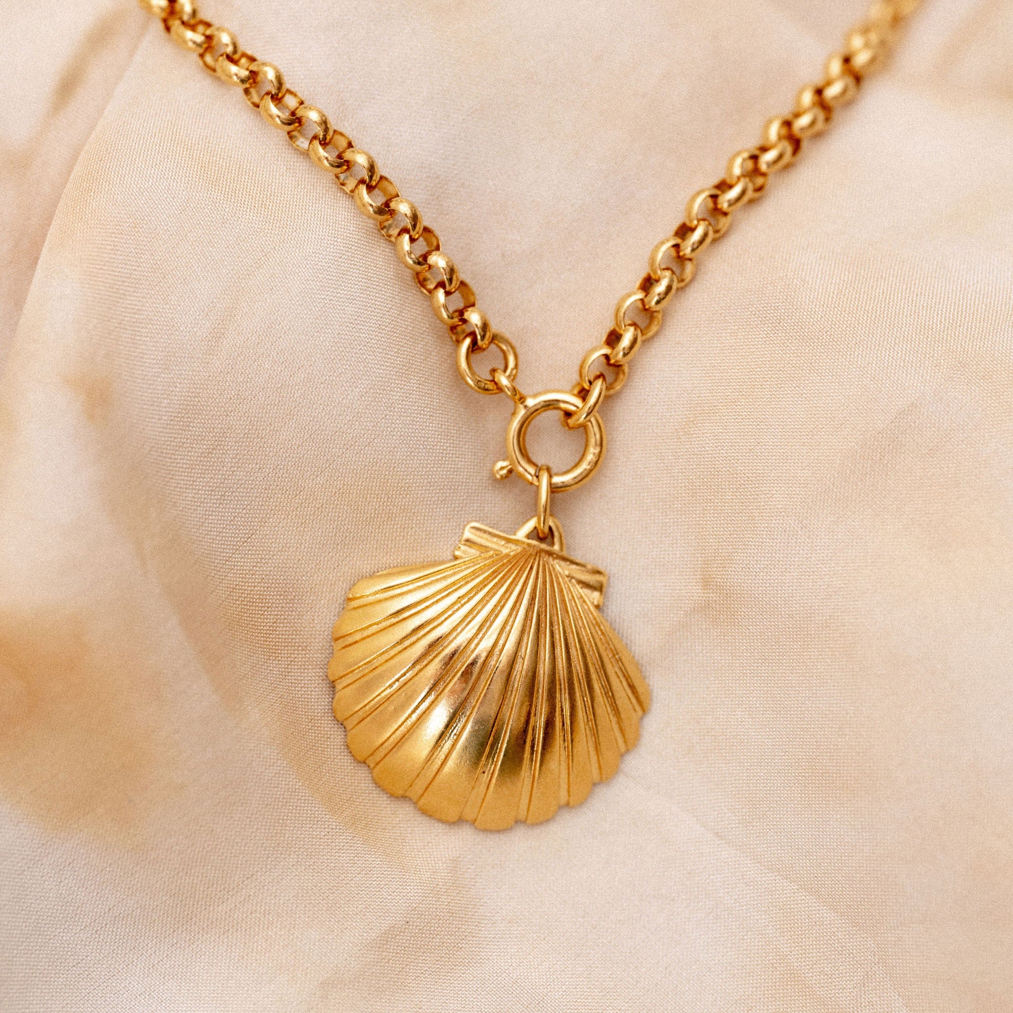 Ulla Shell Pendant On Royal Belcher Chain