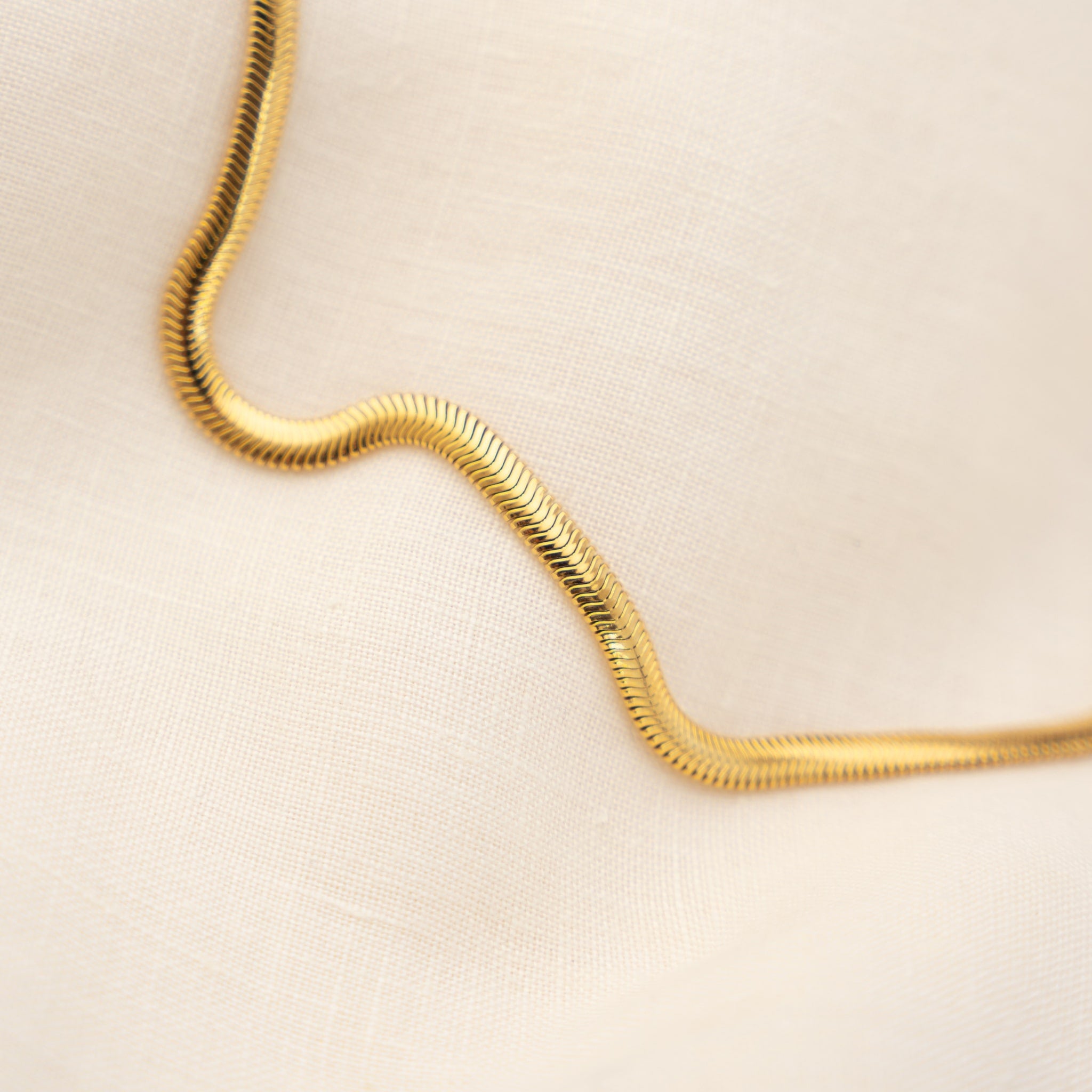 Snake Chain | Large