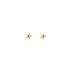 Tiny North Star Studs