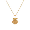 Beachcomber Shell Necklace
