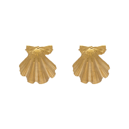 Beachcomber Shell Stud Earrings