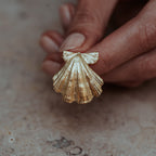 Beachcomber Shell Stud Earrings