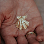 Beachcomber Shell Stud Earrings