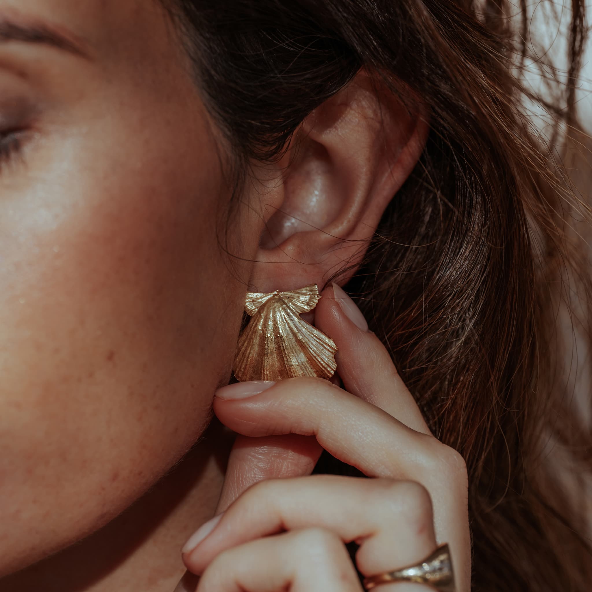 Beachcomber Shell Stud Earrings