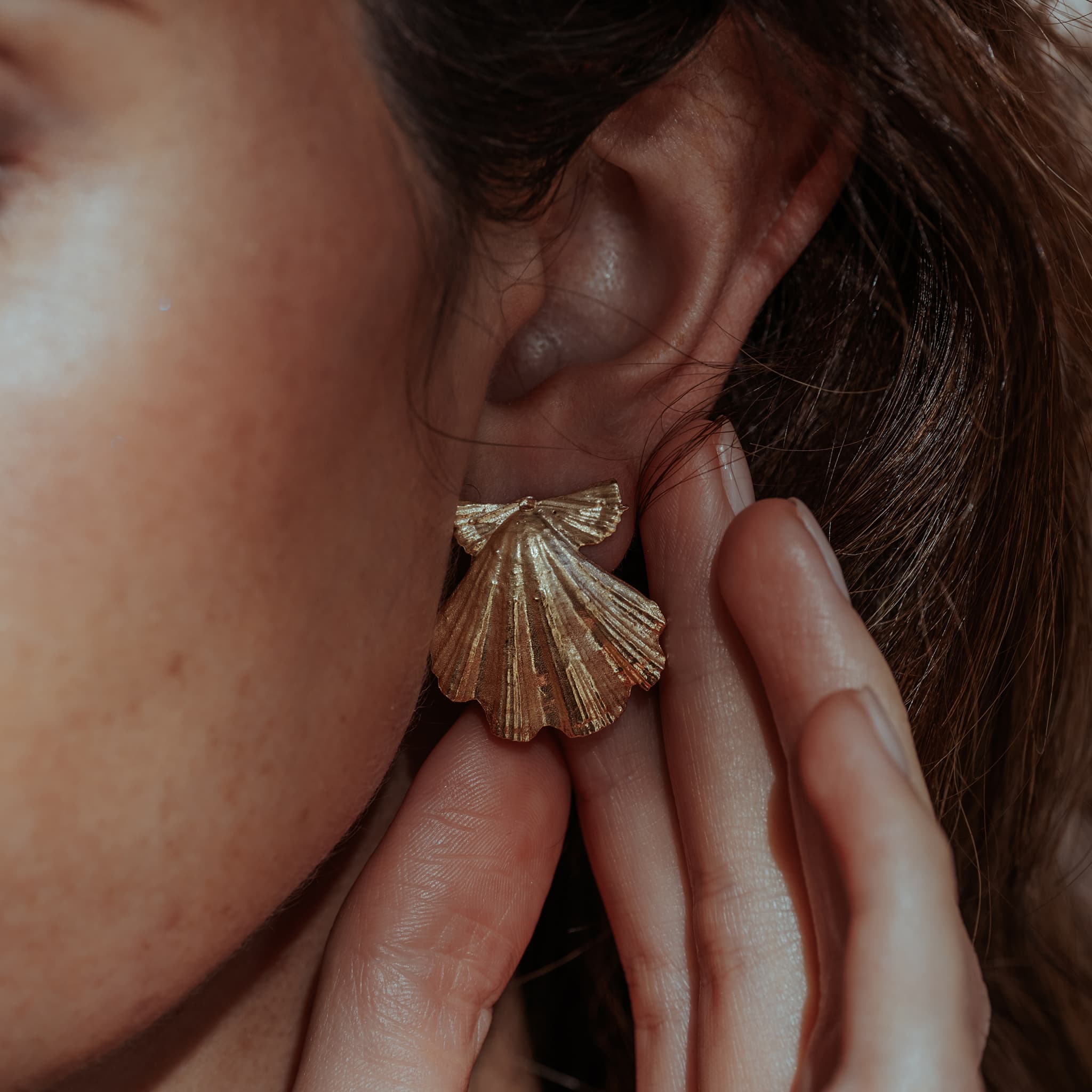 Beachcomber Shell Stud Earrings