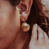 GOLD-CLAM-SHELL-ULA-SHELL-DROP-EARRINGS-DSC07459-HIGH-RES-ORIGINALS-CABINET-JEWELLERY-CHLOE-UPTON-STUDIO-PHOTOGRAPHY