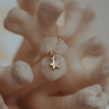 Tiny Star Pendant