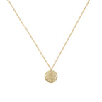 TINY-TELLIN-SHELL-PENDANT-CABINET-JEWELLERY