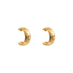 Traveller Palm Hoop Earrings
